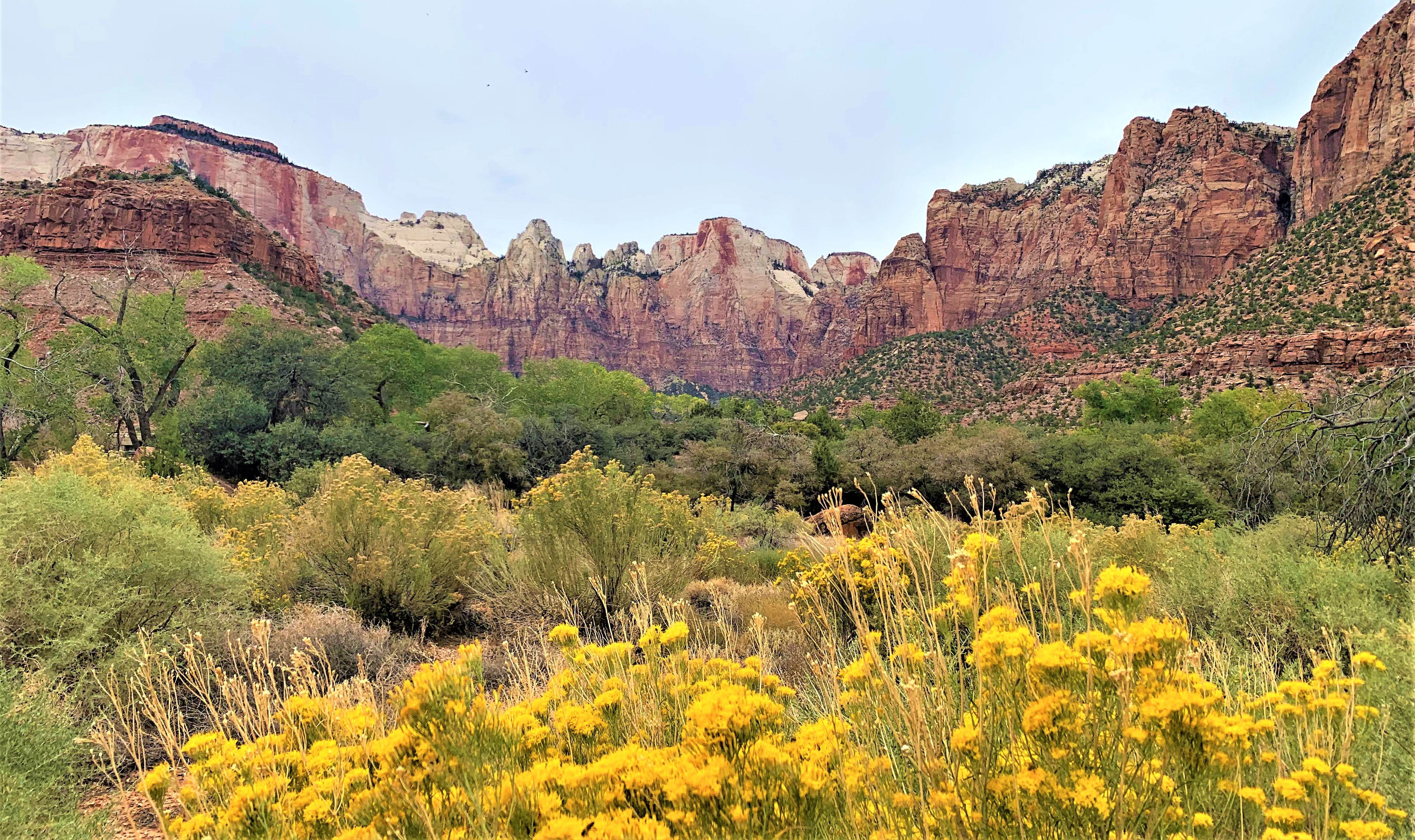 Zion NP